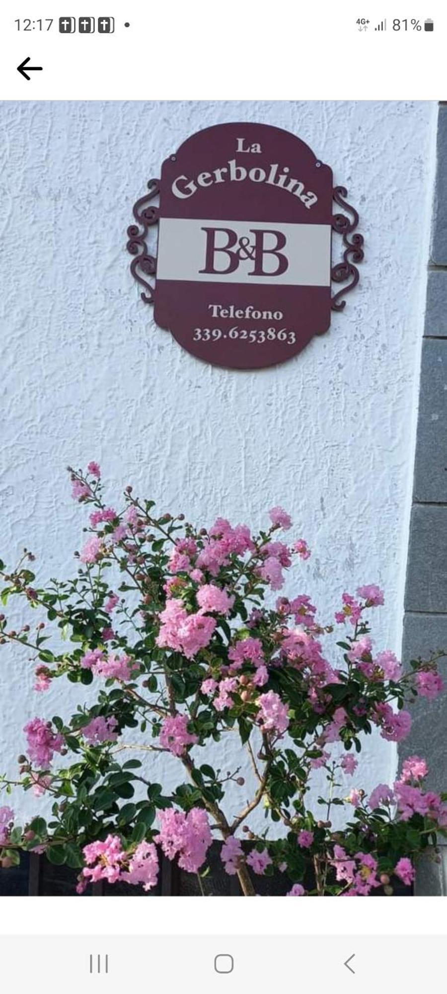 B&B La Gerbolina San Giusto Canavese Екстериор снимка