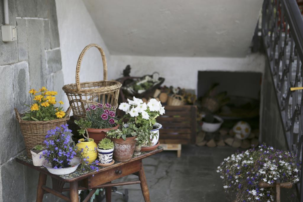 B&B La Gerbolina San Giusto Canavese Екстериор снимка