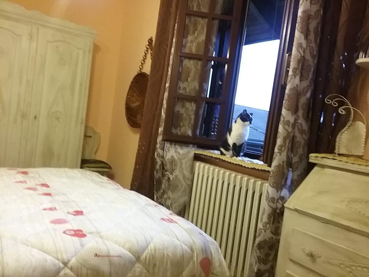 B&B La Gerbolina San Giusto Canavese Екстериор снимка